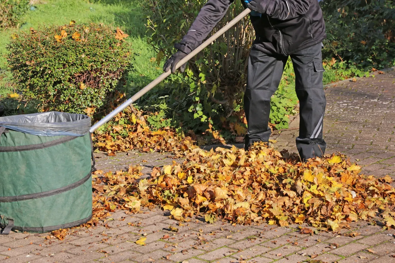 Pflege einer Außenanlage im Herbst